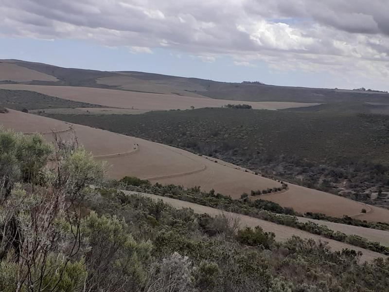 0 Bedroom Property for Sale in Albertinia Western Cape